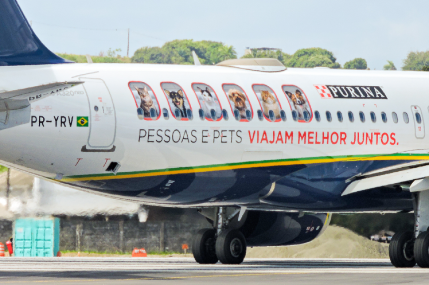Azul Linhas Aéreas Brasileiras y Purina establecen inédito acuerdo destinado a mascotas a bordo